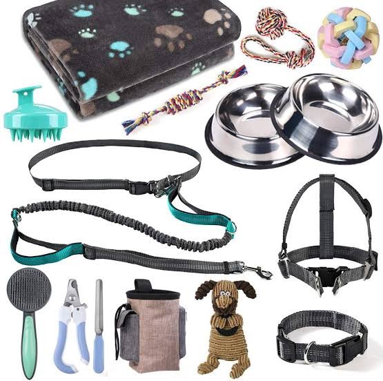 Pet Accessories 