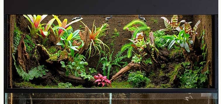 Fish Corner 